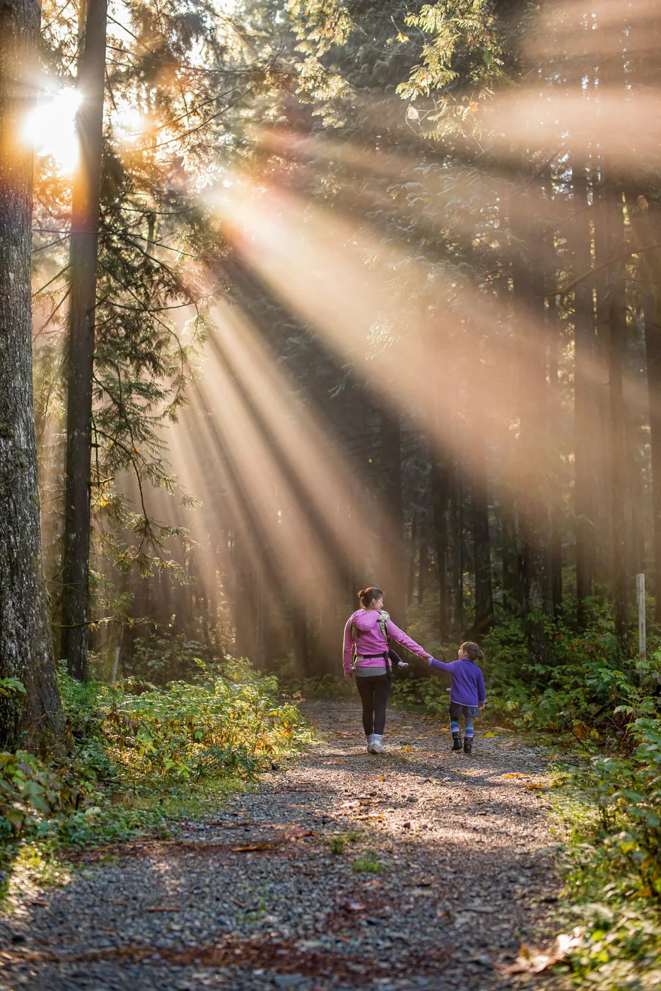 Relaxed outdoor walking as part of everyday movement and an active lifestyle
